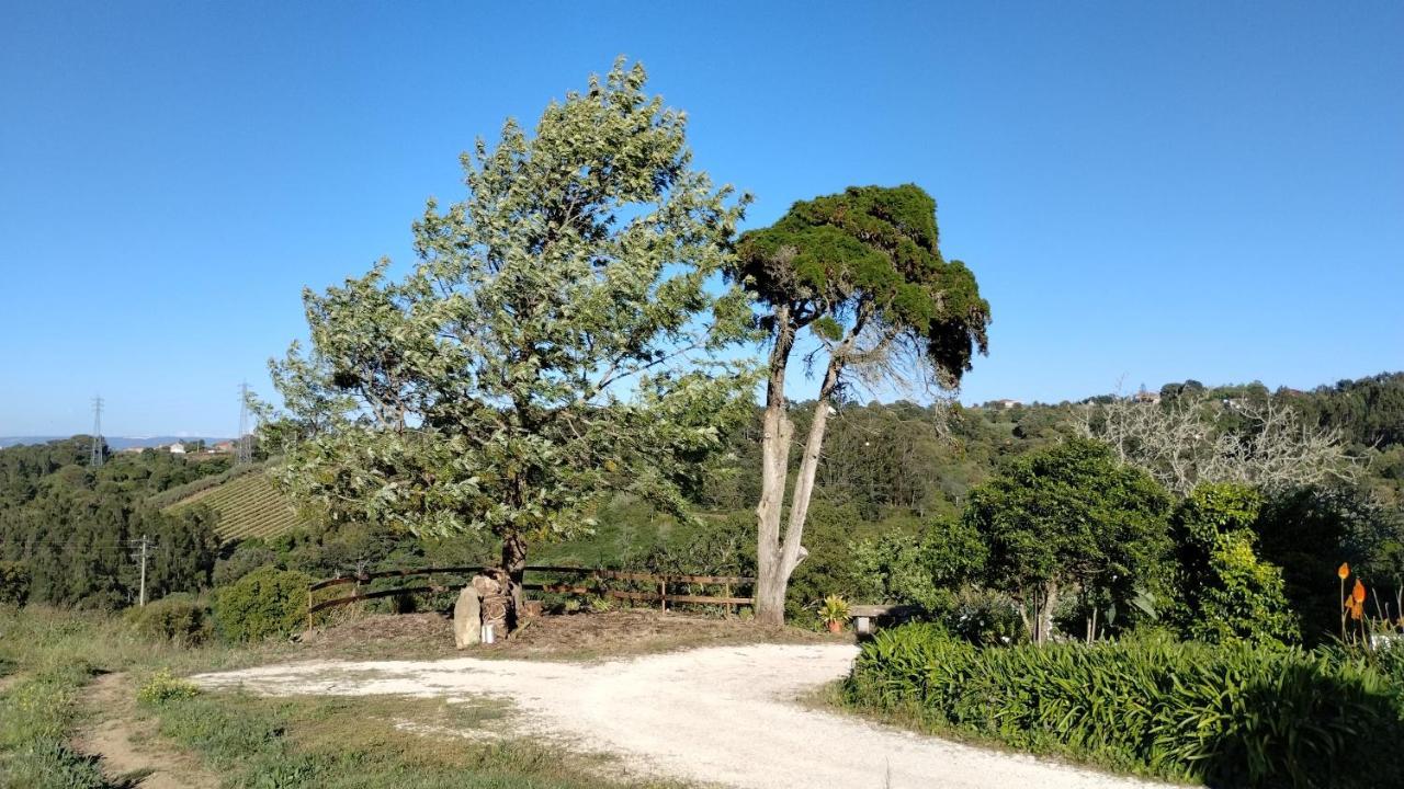 Quinta Do Oratorio Agroturismo Óbidos Dış mekan fotoğraf